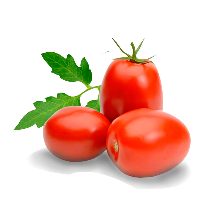 Bamboo Tomato