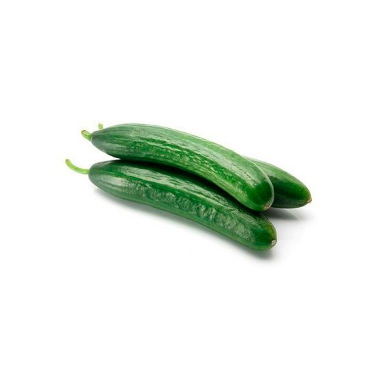 Beith Alpha Cucumber