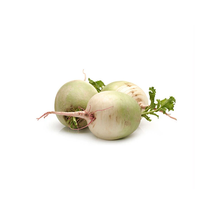 White Radish