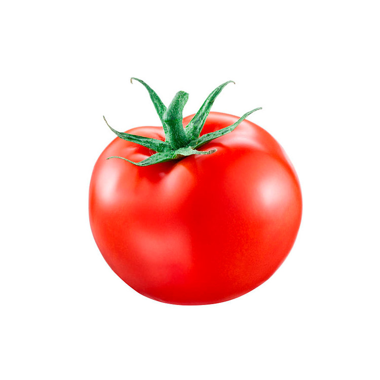 Export Tomatoes