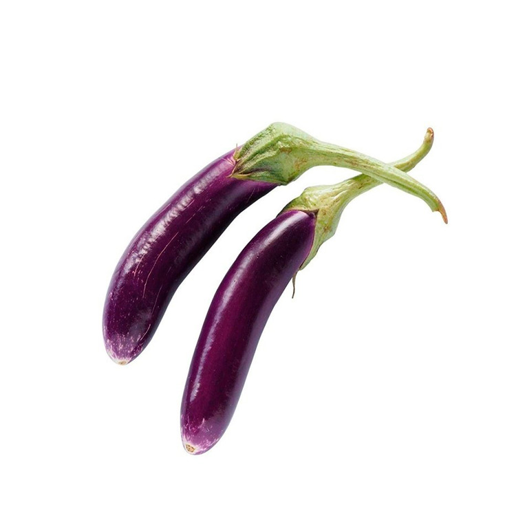 Purple Eggplant