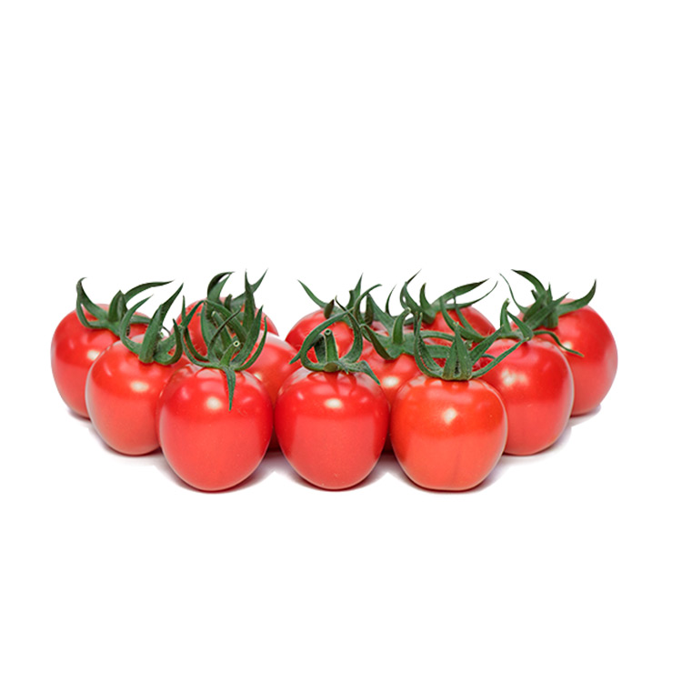 Ovale Tomate