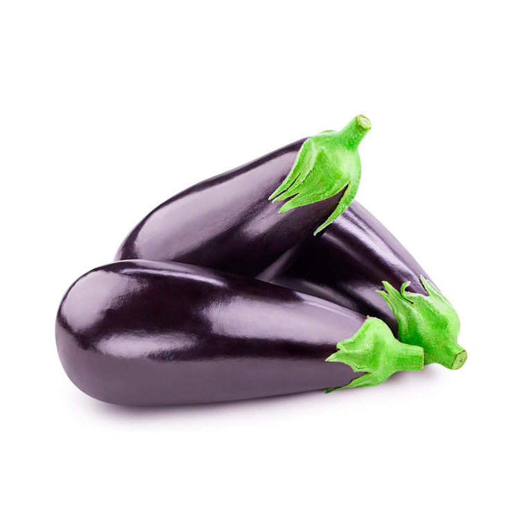 Aubergine