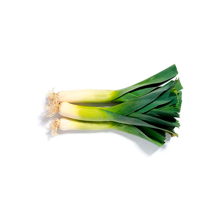 Leek