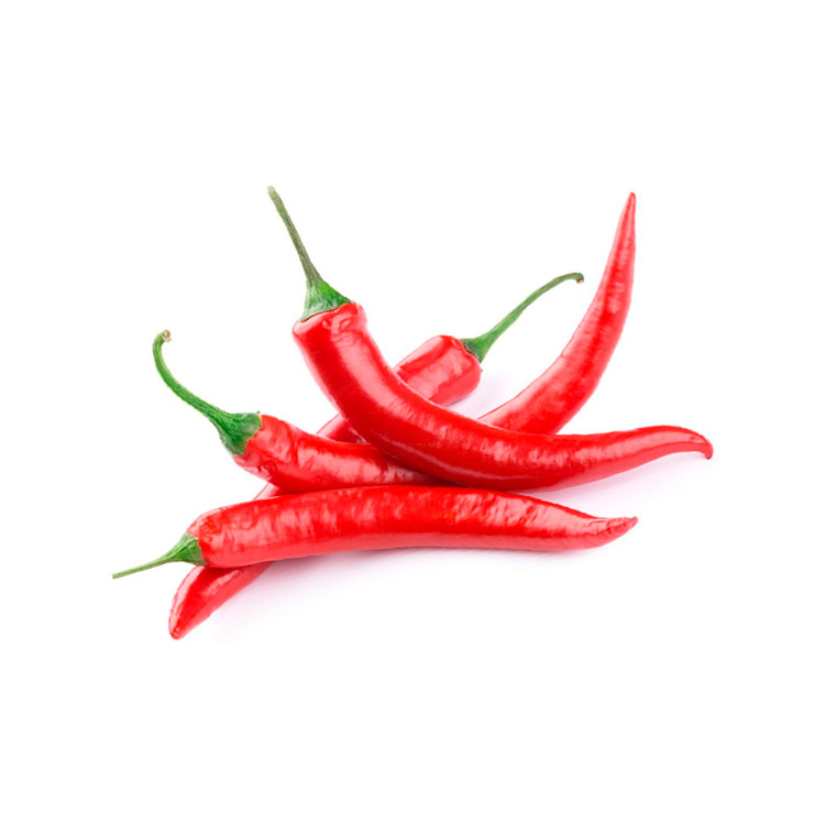 Chile Pepper