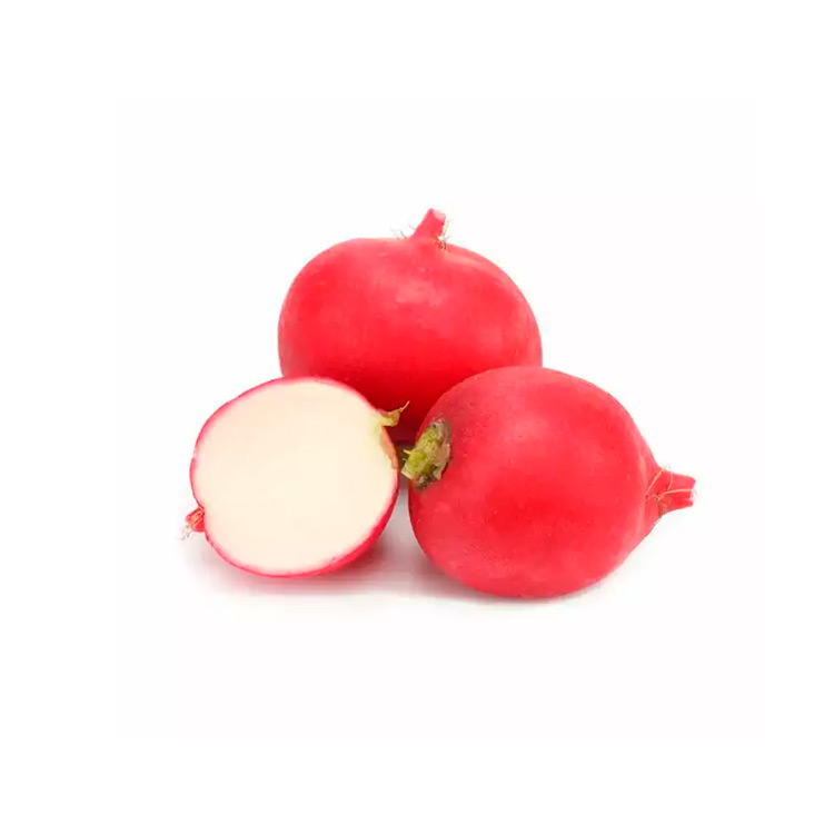 Radish