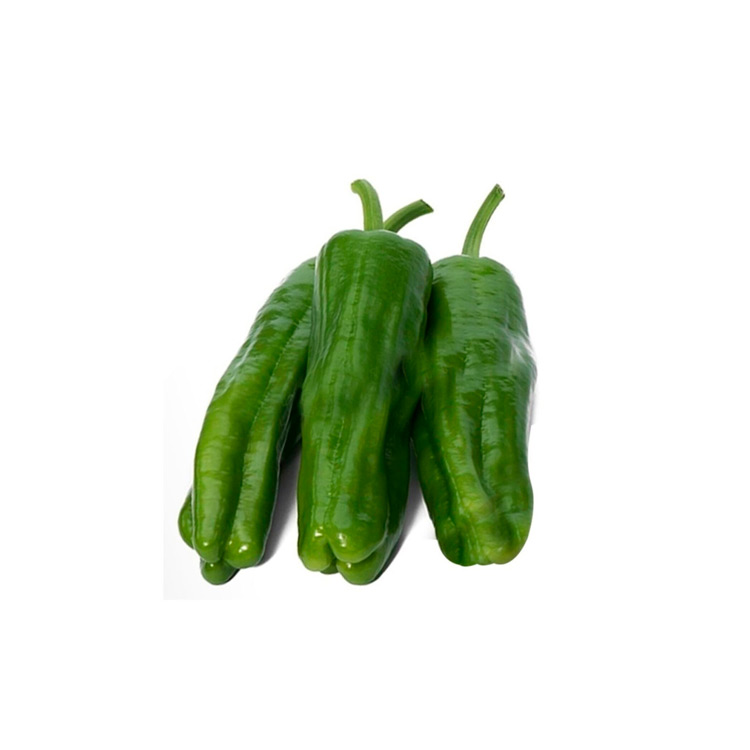 Three-headed pepper